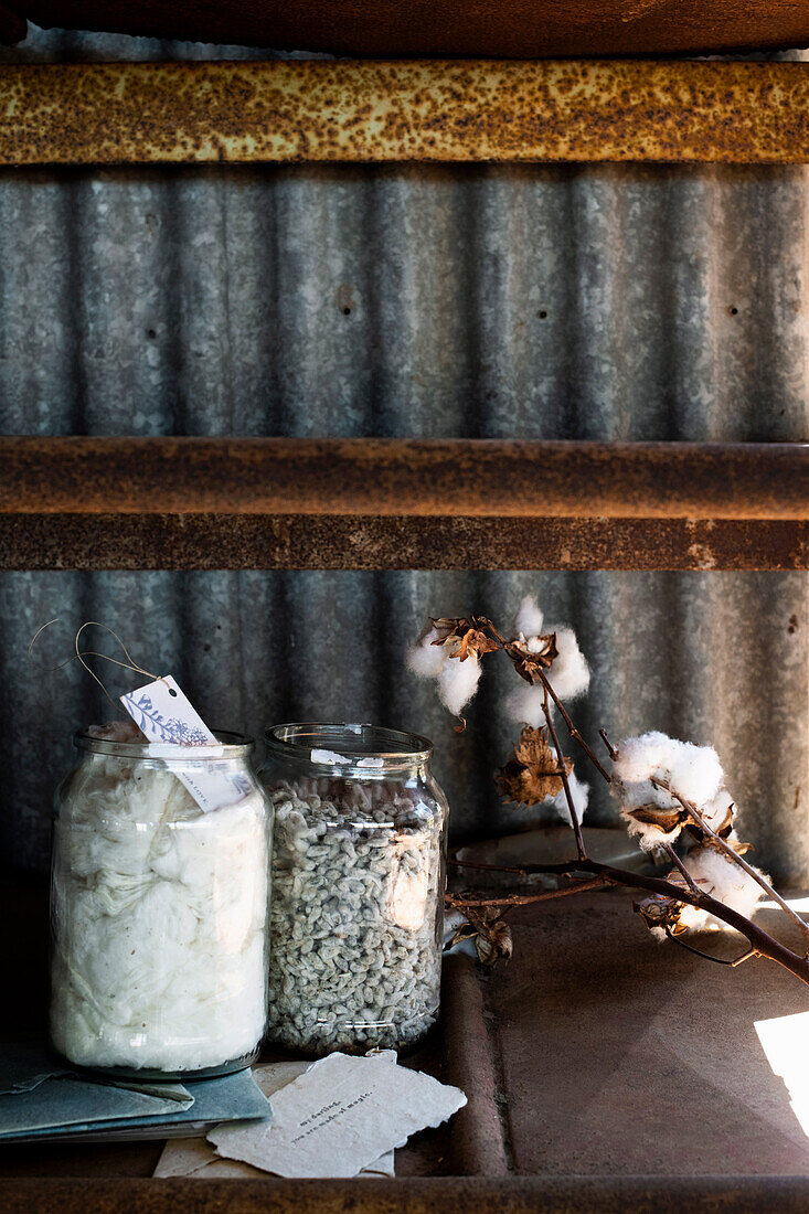 Baumwolle und Samen in Glasgefässen