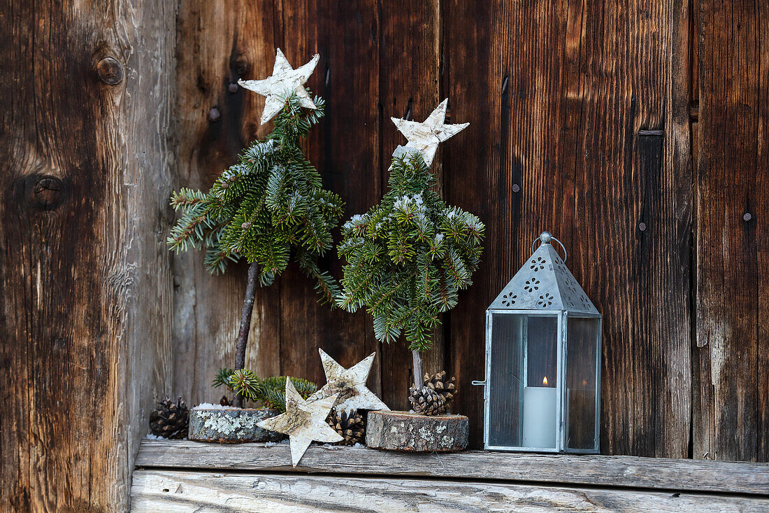 DIY miniature trees and lantern in front of wooden wall