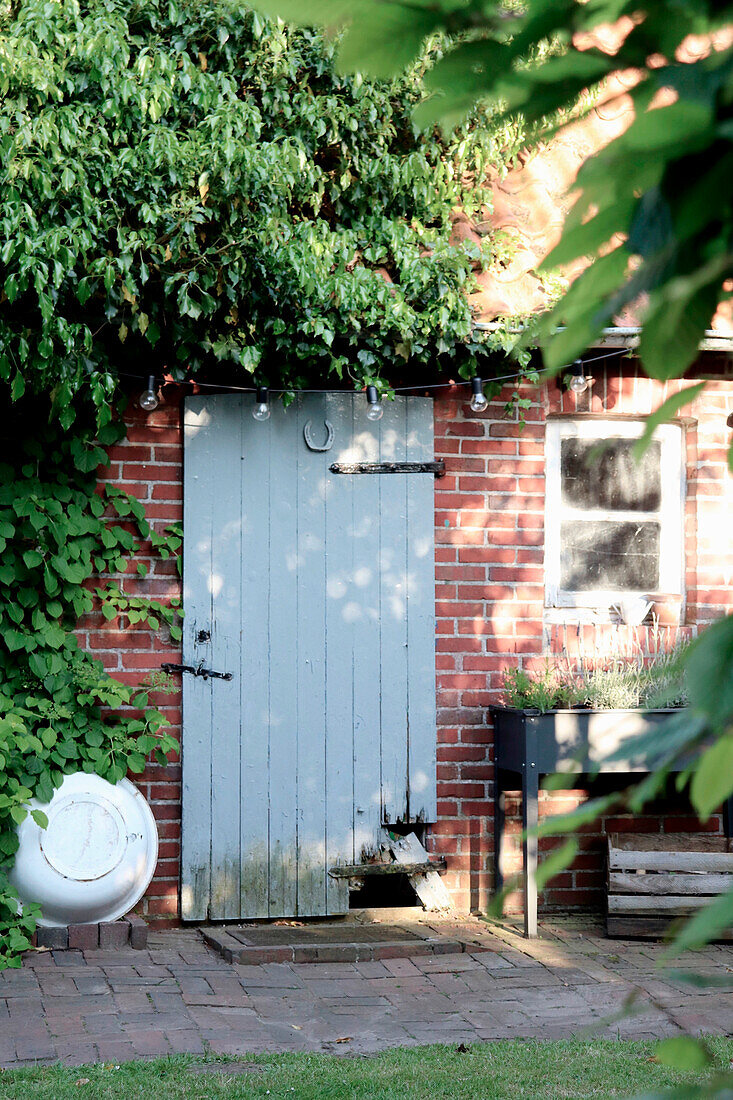 Old, light blue wooden door with peeling paint on a brick wall