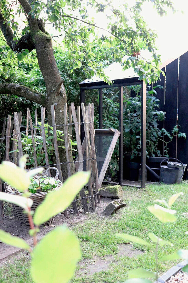 Rustikaler Zaun und Obstbaum im sommerlichen Gartenbereich