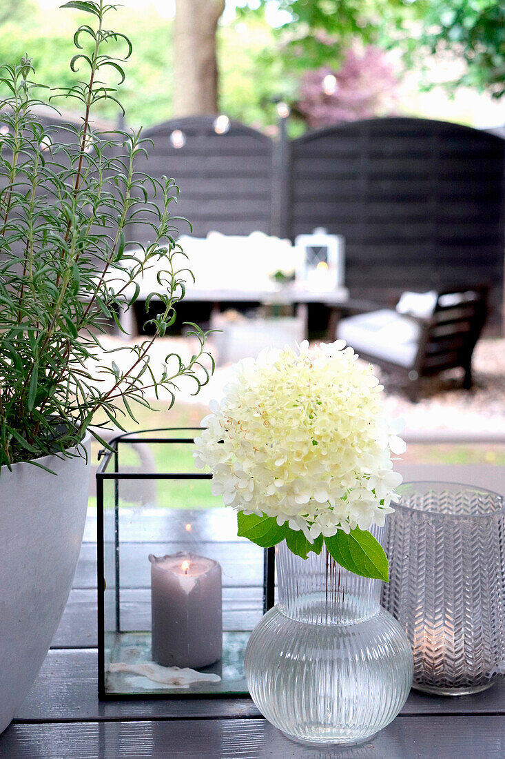 Sitzbereich im Außenbereich mit Hortensien (Hydrangea) und Kerze auf Holztisch