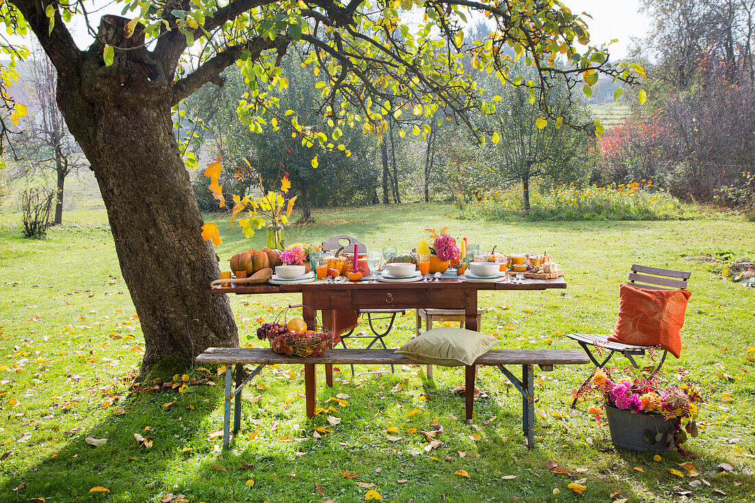 Herbstlich gedeckter Tisch mit Kürbissen im Garten