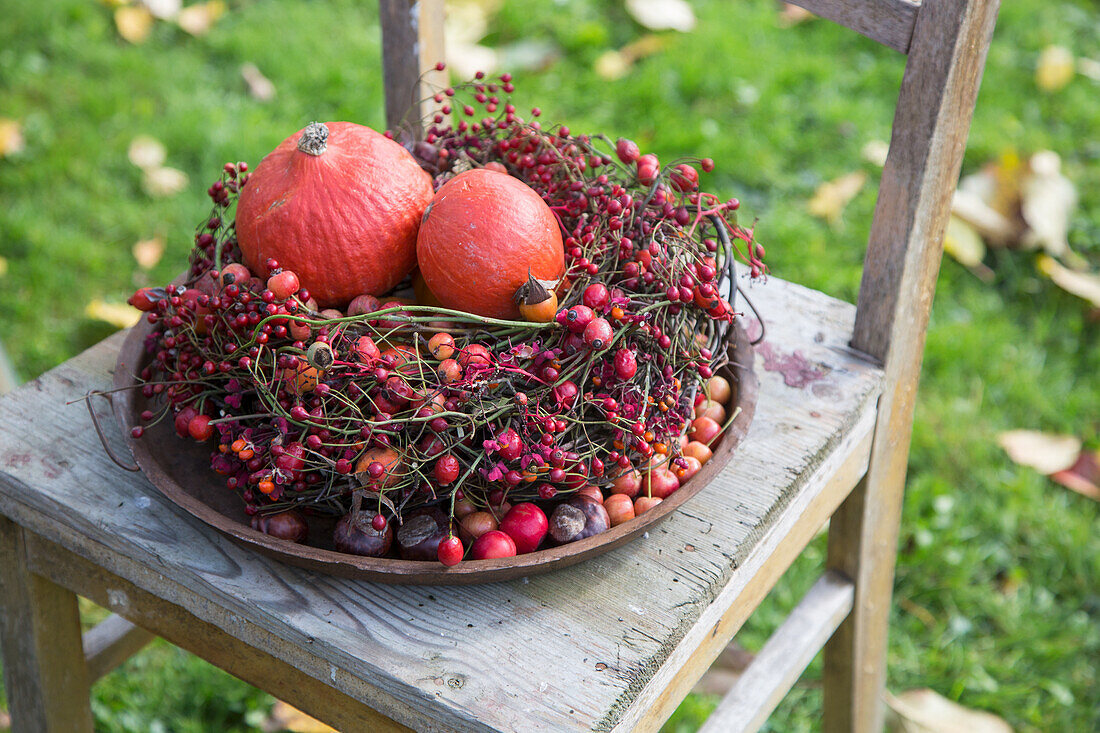 Autumnal arrangement with pumpkins and berries on a wooden chair in the garden