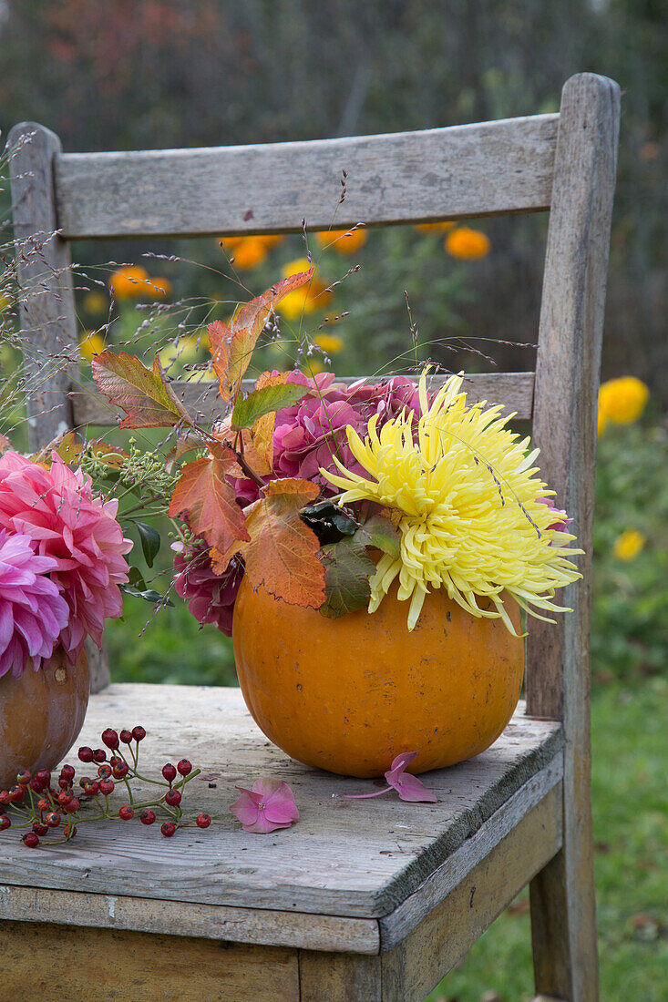 Herbstliche Dekoration mit Kürbisvase und Blumen auf Holzstuhl im Garten