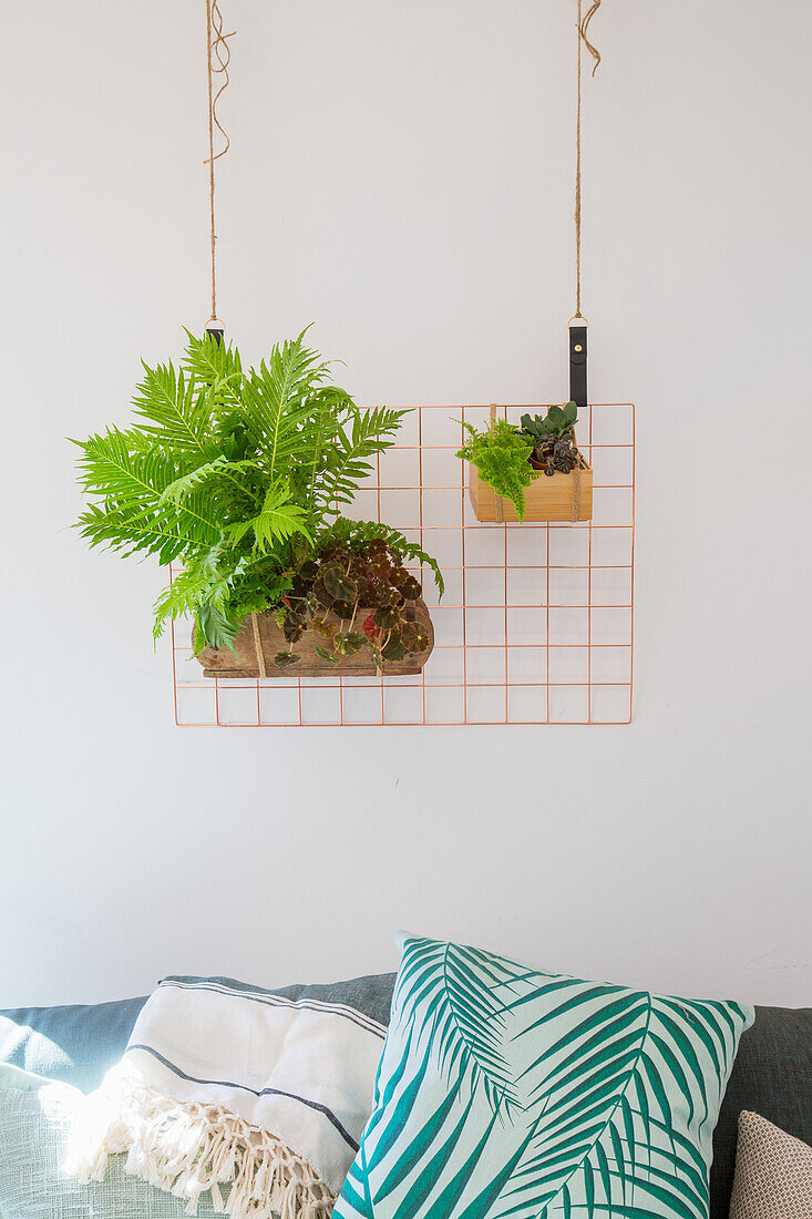 Lattice wall with planted wooden boxes above a sofa with cushions