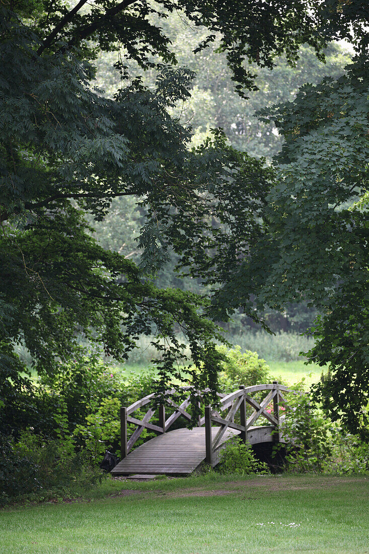 Wooden bridge under mature trees