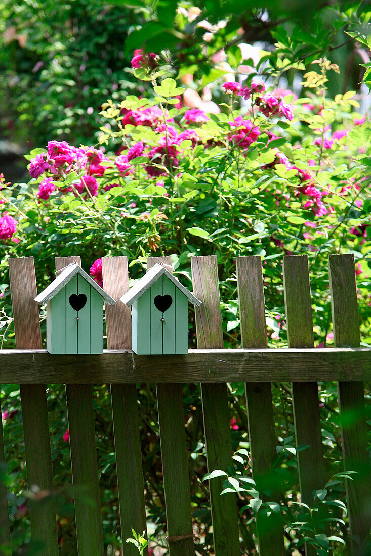 Small house-shaped decorations on garden fence with roses in background