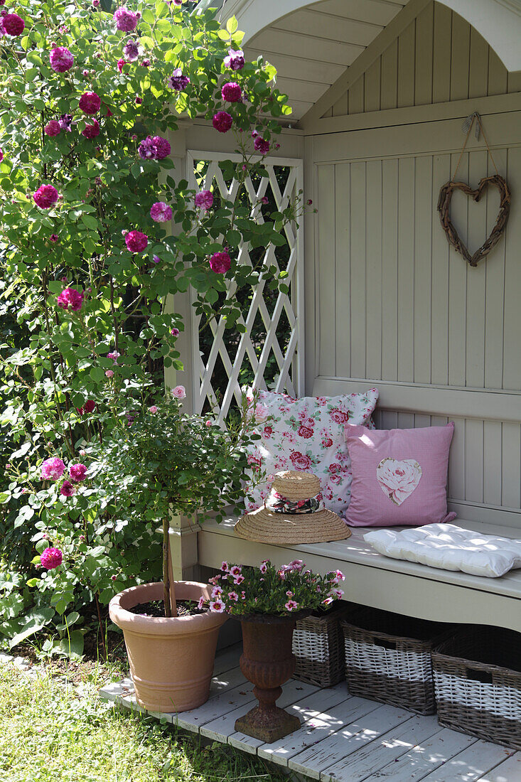 Arbour bench with climbing rose 'Himmelsauge', potted rose tree and rose-patterned cushion
