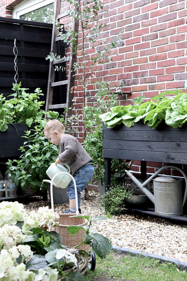 Child watering plants with a watering can in the backyard garden