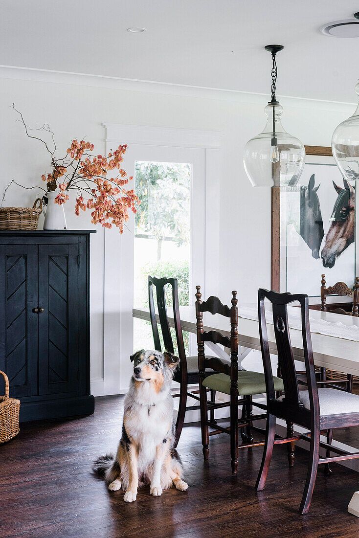 Ländliches Esszimmer mit weißen Wänden, Hund sitzt auf dunklem Holzdielenboden