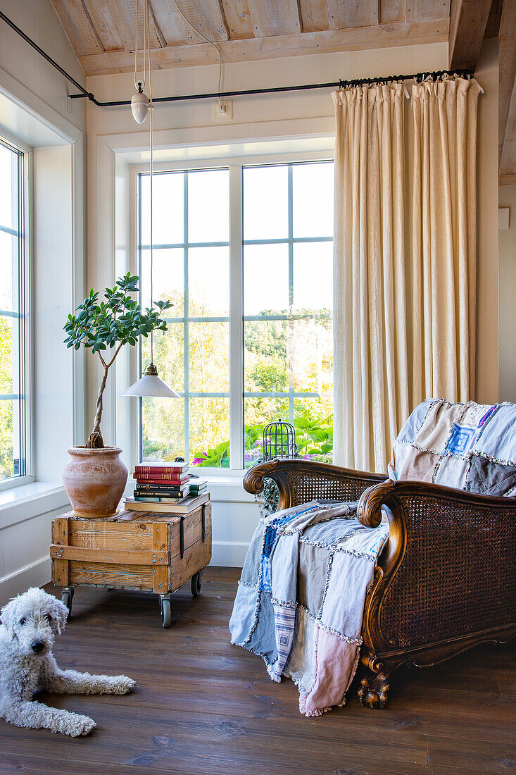 Antique rattan armchair with patchwork blanket, dog in front on floorboards