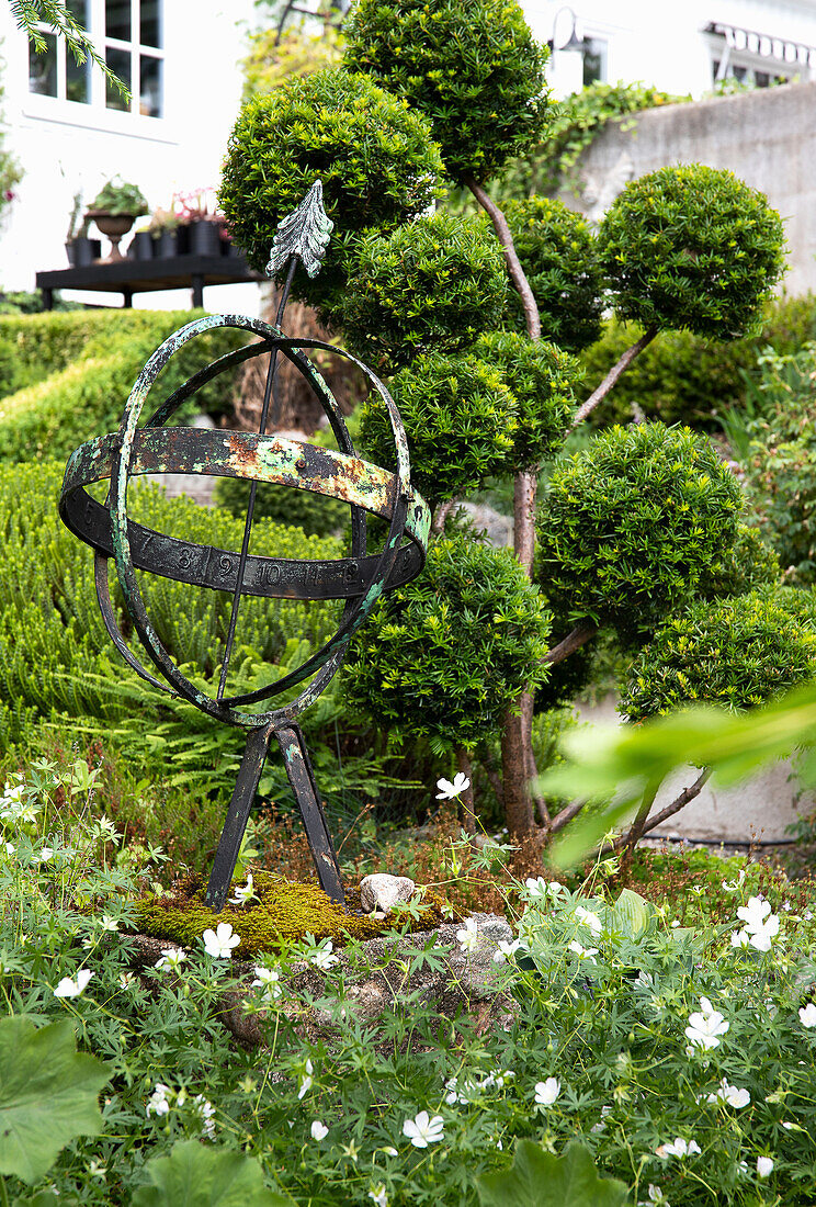 Planted garden bed with armillary sphere and Japanese yew tree