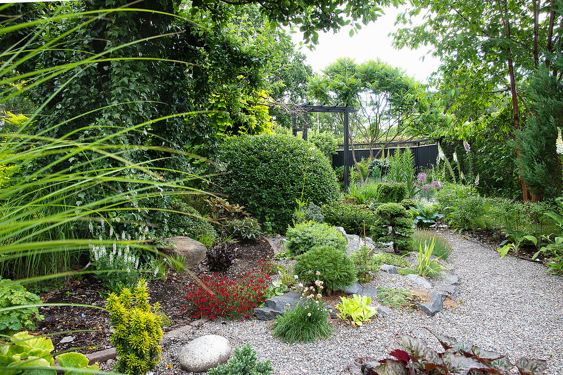 Well-tended garden with a variety of plants and gravel path