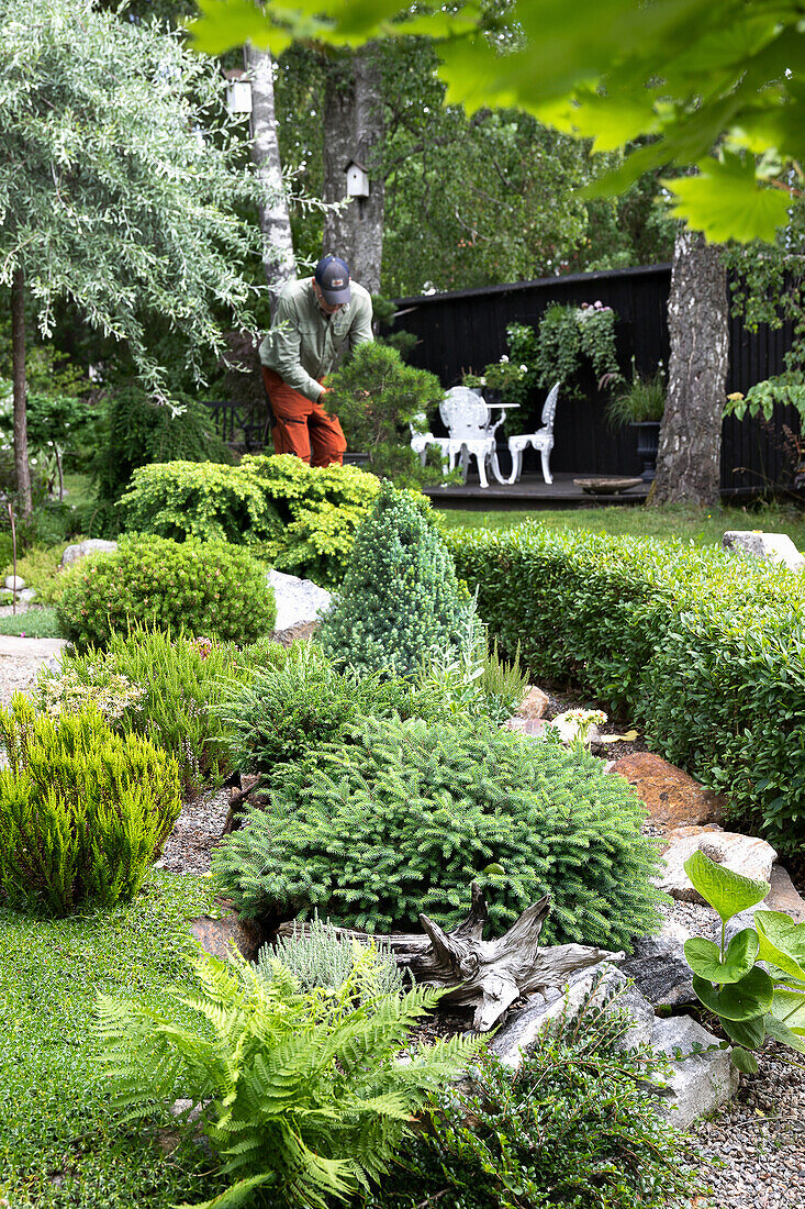 Man working in well-tended garden with seating area in the background