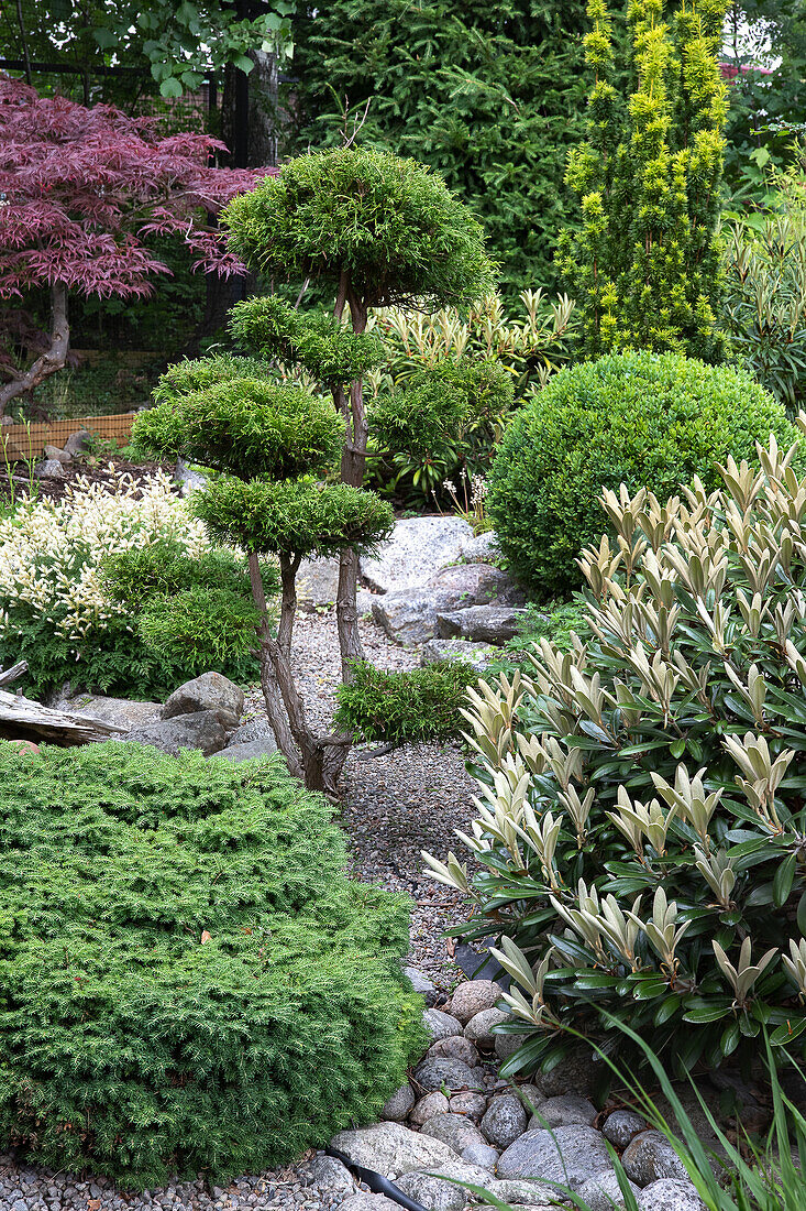 Japanisch inspirierte Gartengestaltung mit Zierpflanzen und Kieselsteinen