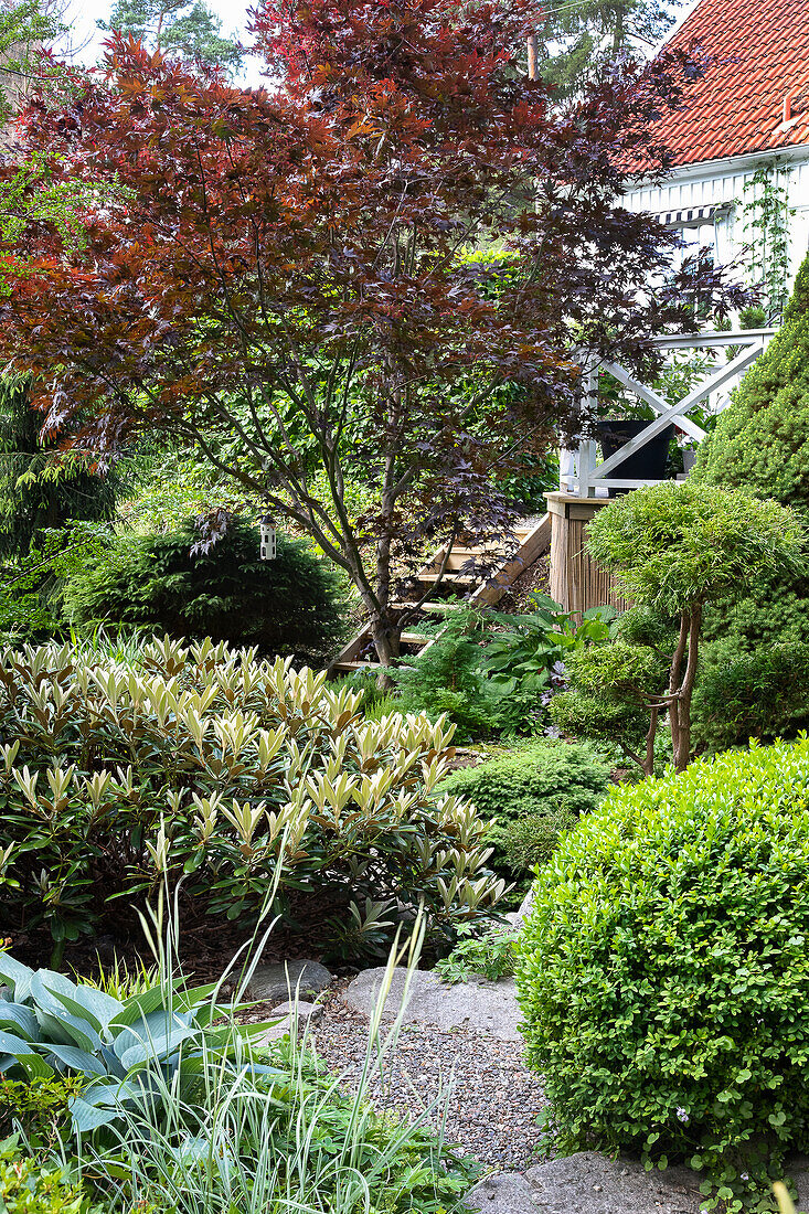 Gepflegter Garten mit Kiesweg, Holztreppe und vielfältiger Bepflanzung