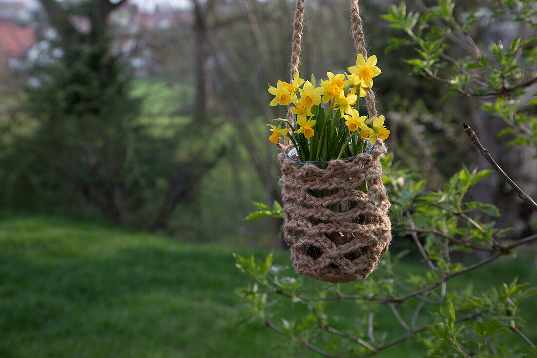 Macramé hanging basket with daffodils in the garden