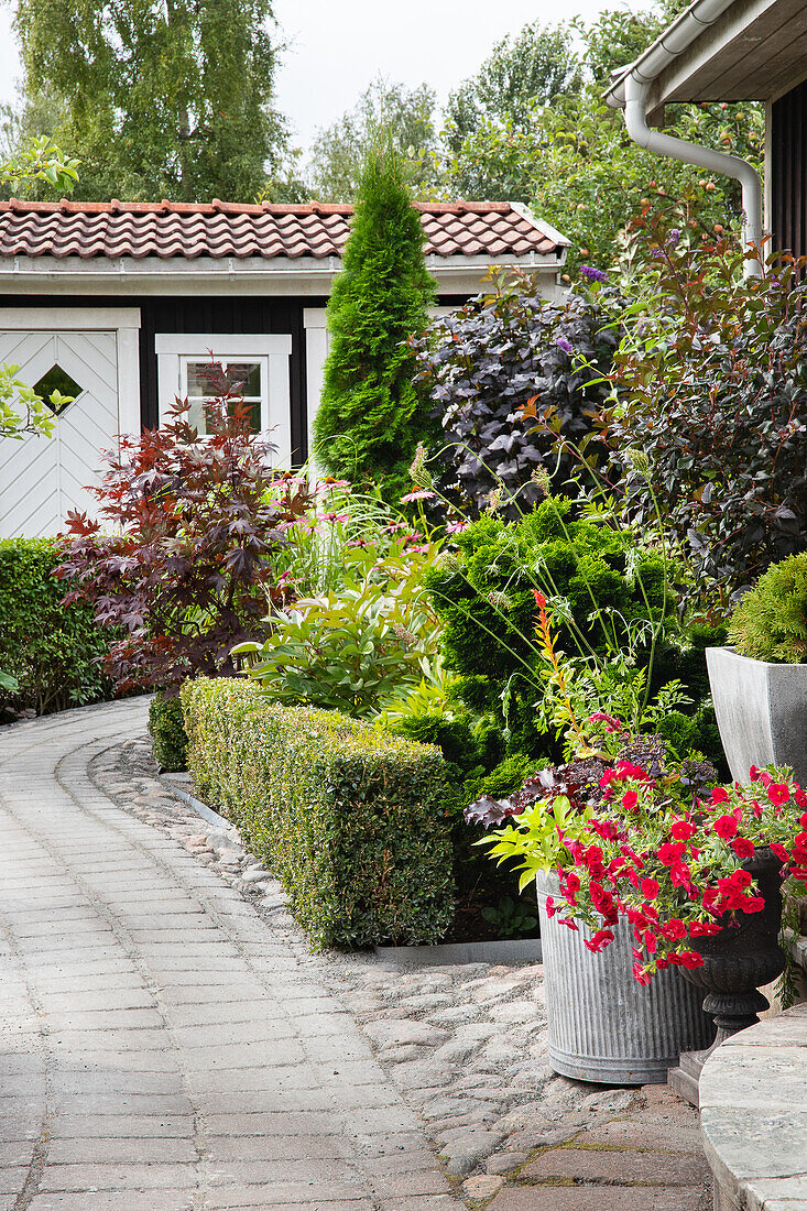 Paved garden path with colorful planting and ornamental shrubs