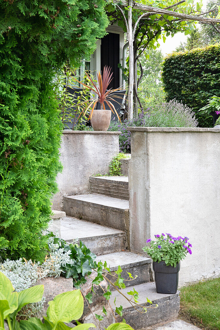 Treppe mit Topfpflanzen im grünen Vorgarten