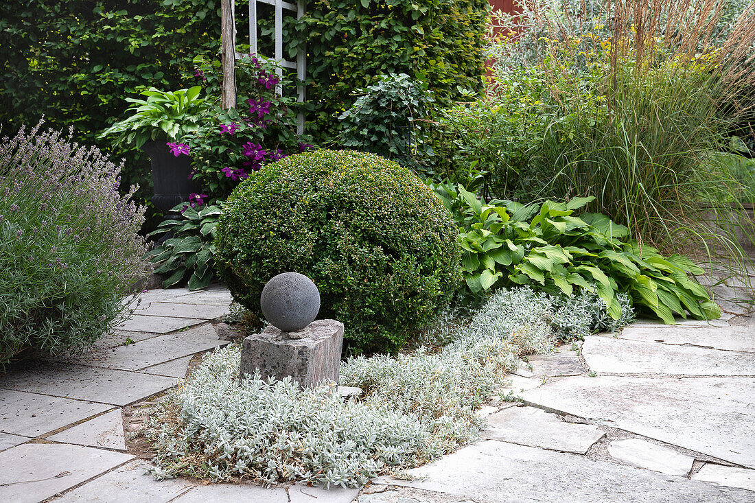 Gestalteter Gartenbereich mit Kugelbaum und dekorativer Steinkugel