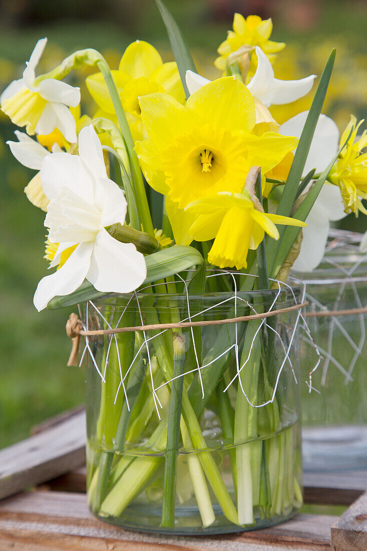 Narzissen in Vase auf Holzuntergrund