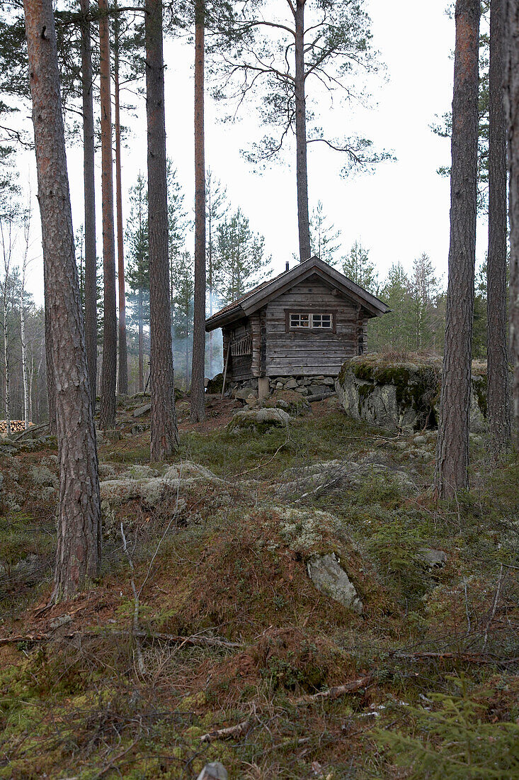 Blockhaus im Wald von Svartadalen, Schweden