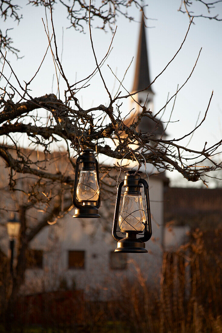 Two glass lanterns hang on a winter tree
