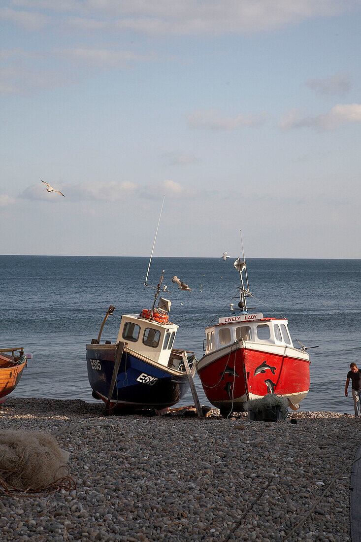 Fishing boats beached on Devon shingle