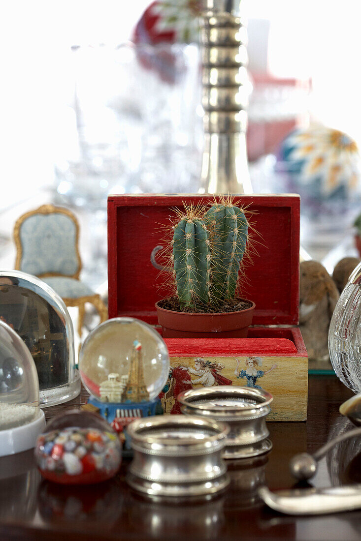Cactus in casket on tabletop with silverware