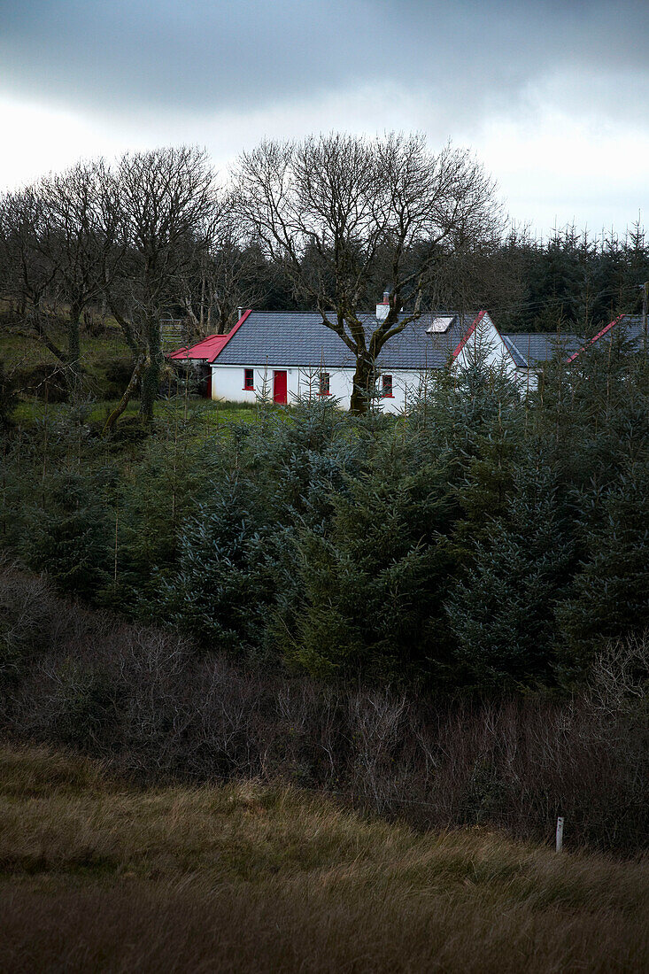 Cottage in Winterlandschaft im County Clare, Irland