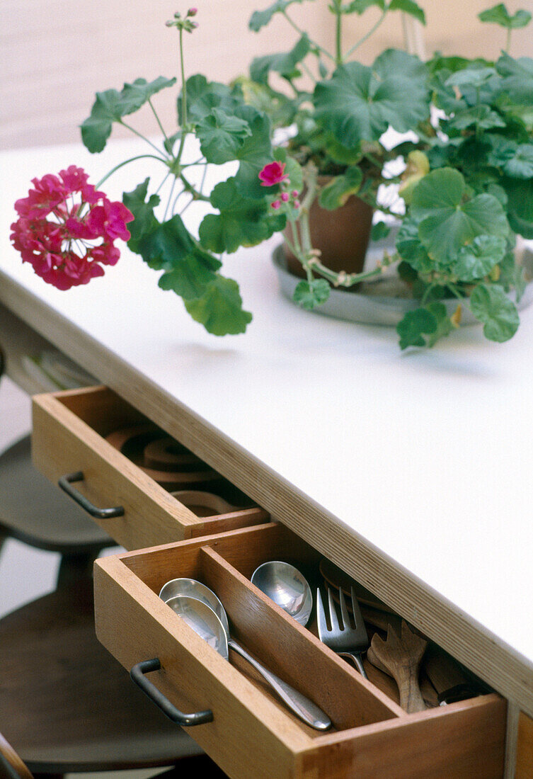 Close up detail of cutlery drawers underneath the dining table with a potted plant on top