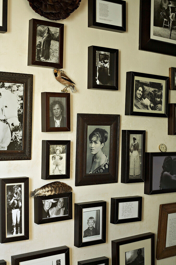 Collection of family photographs displayed on wall
