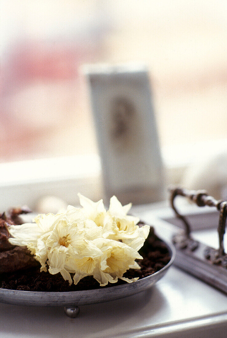 Bowl of dried daffodils on window sill