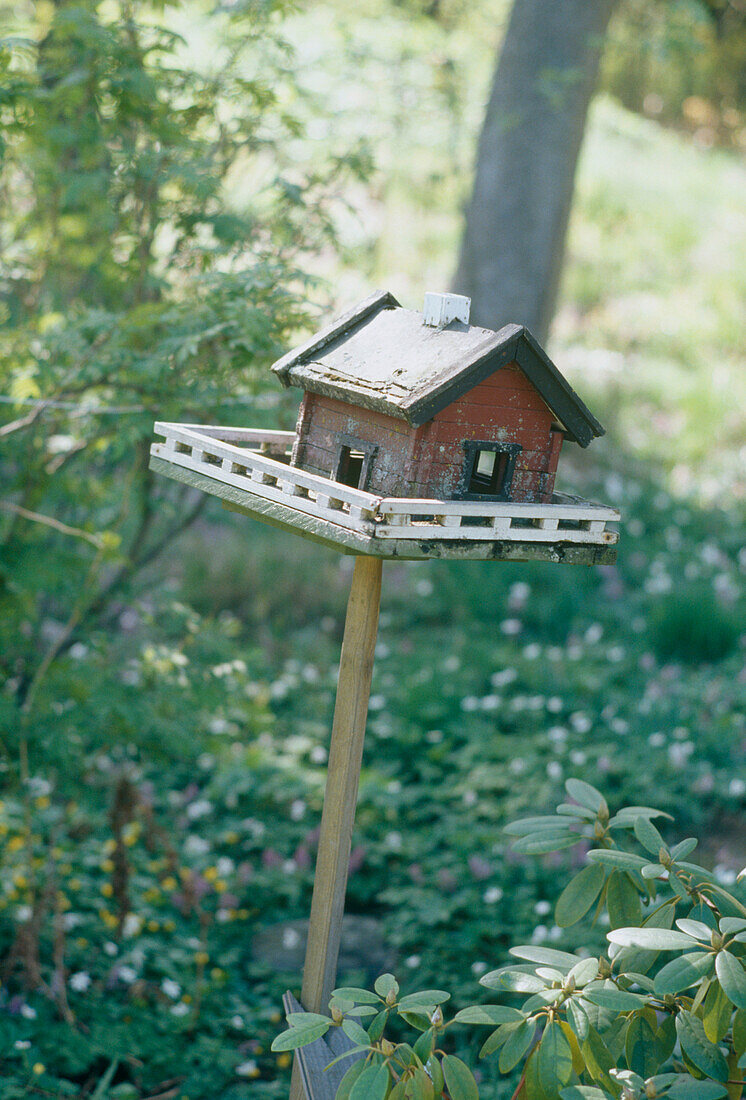 Wooden birdhouse surrounded by green trees and shrubs