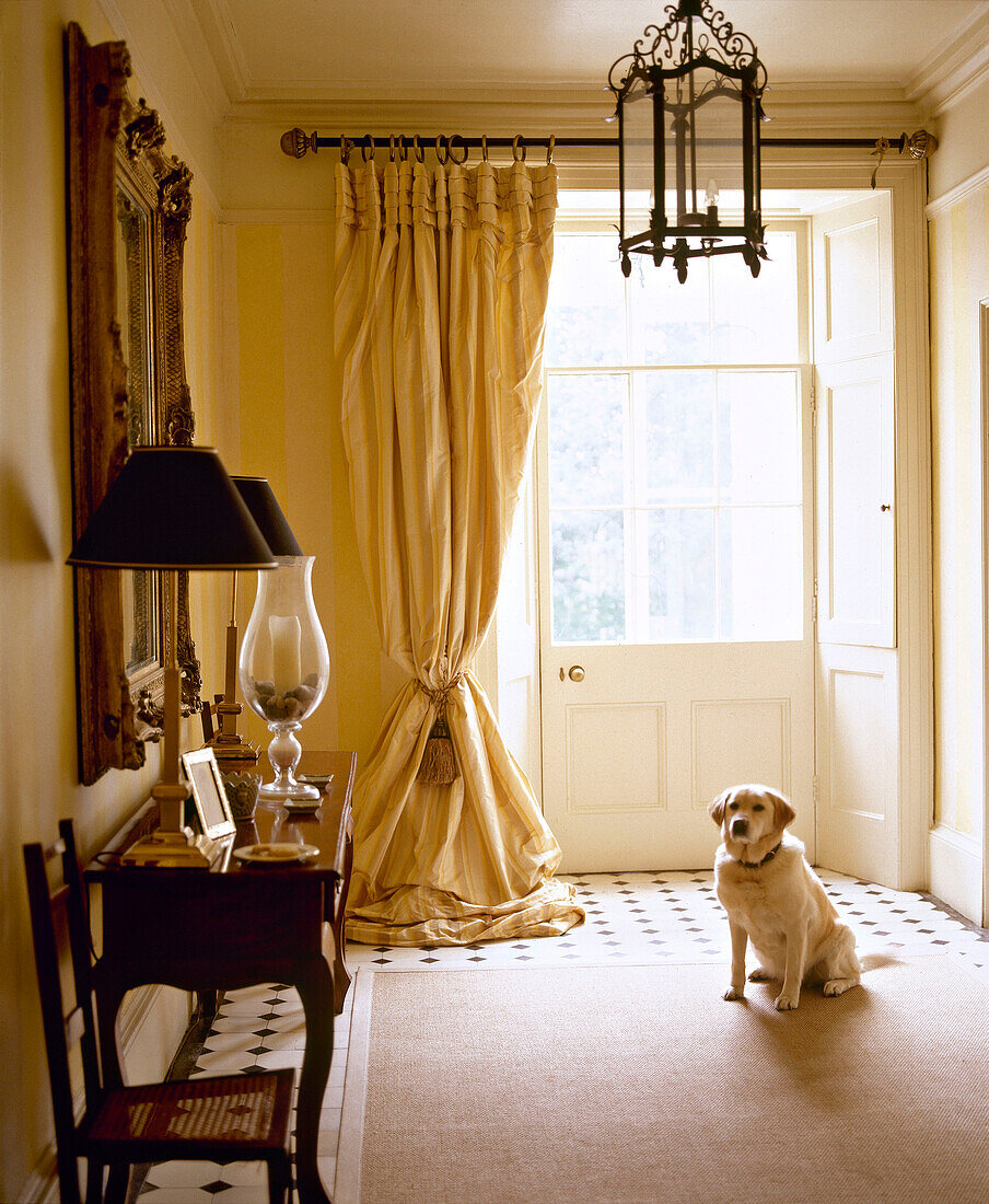 Hund sitzt auf einem Teppich im Flur in der Nähe der Eingangstür, UK