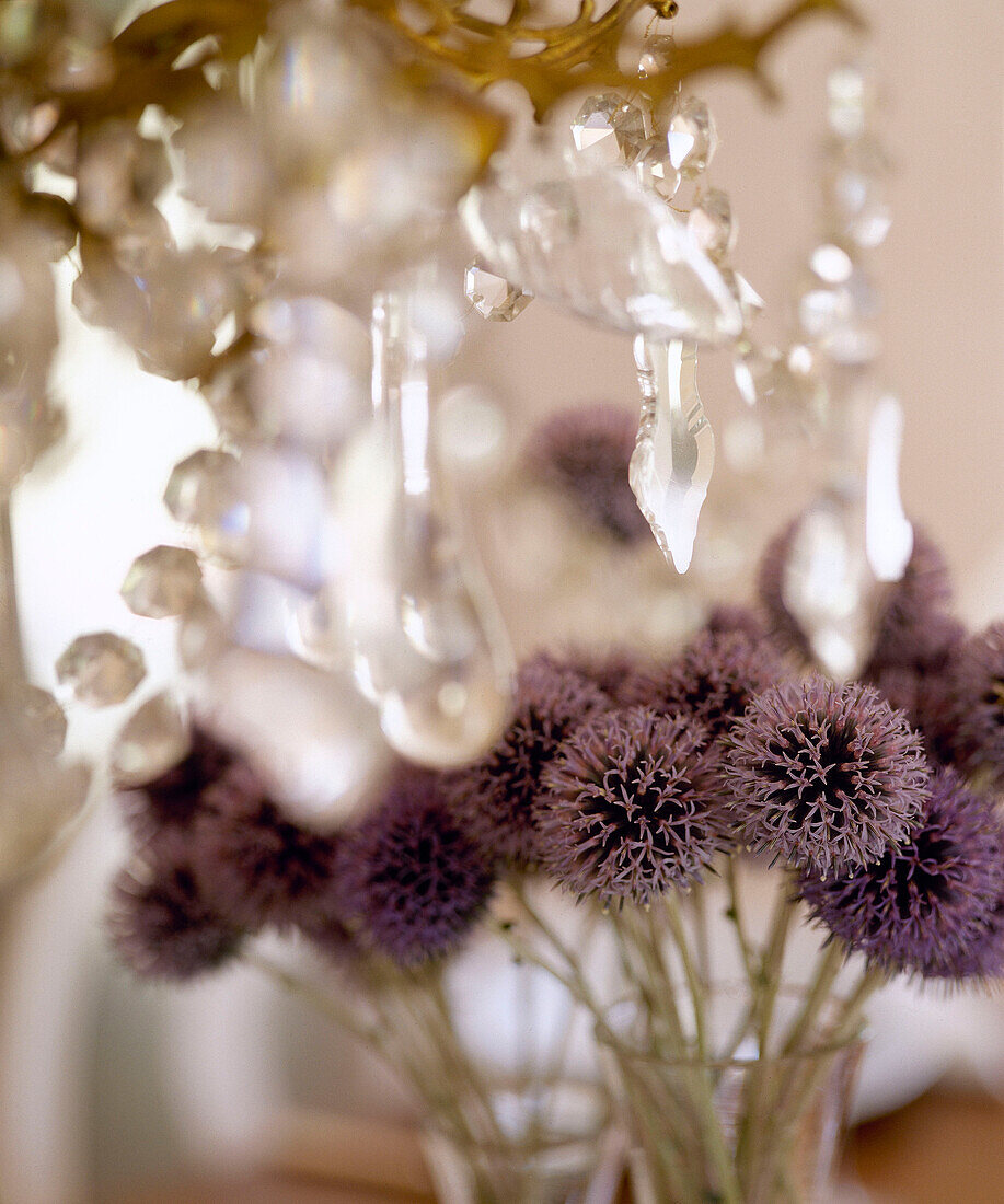 Close up of Echinop flowers and glass chandelier in Mjolby, Sweden