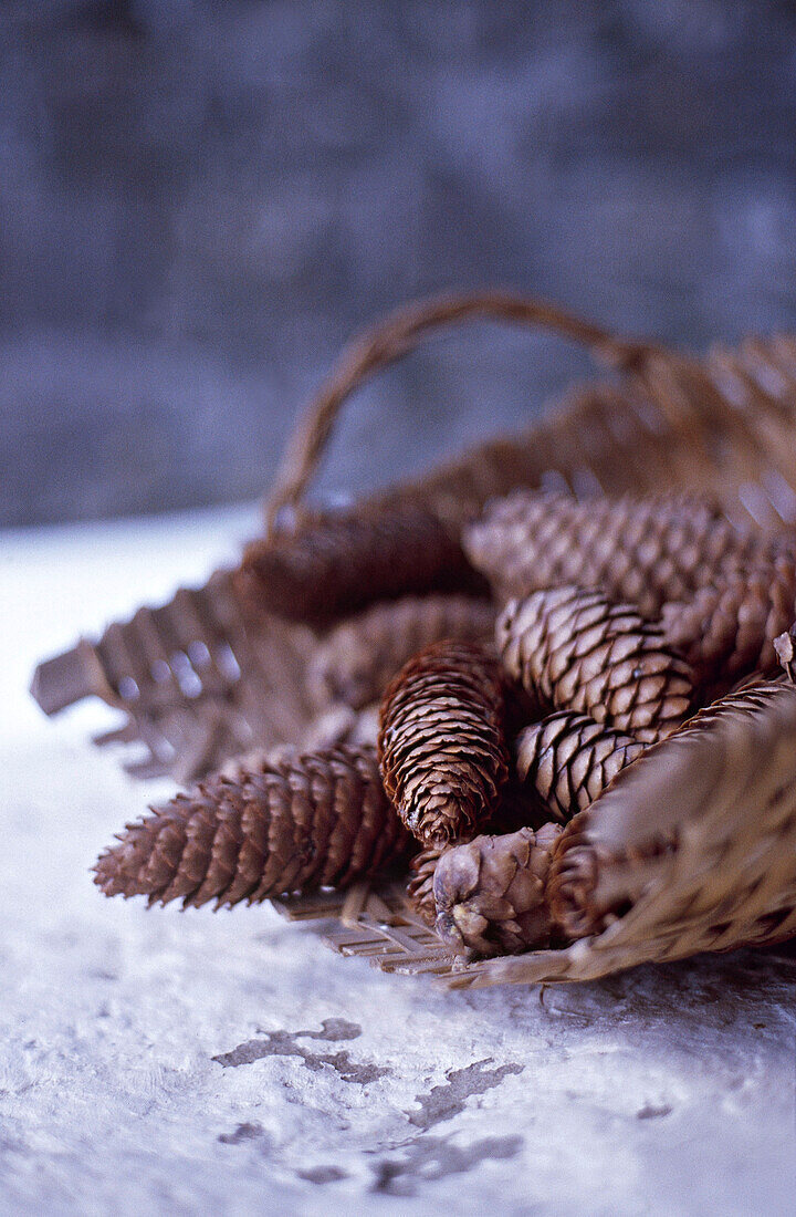 Close up of pine cones in basket