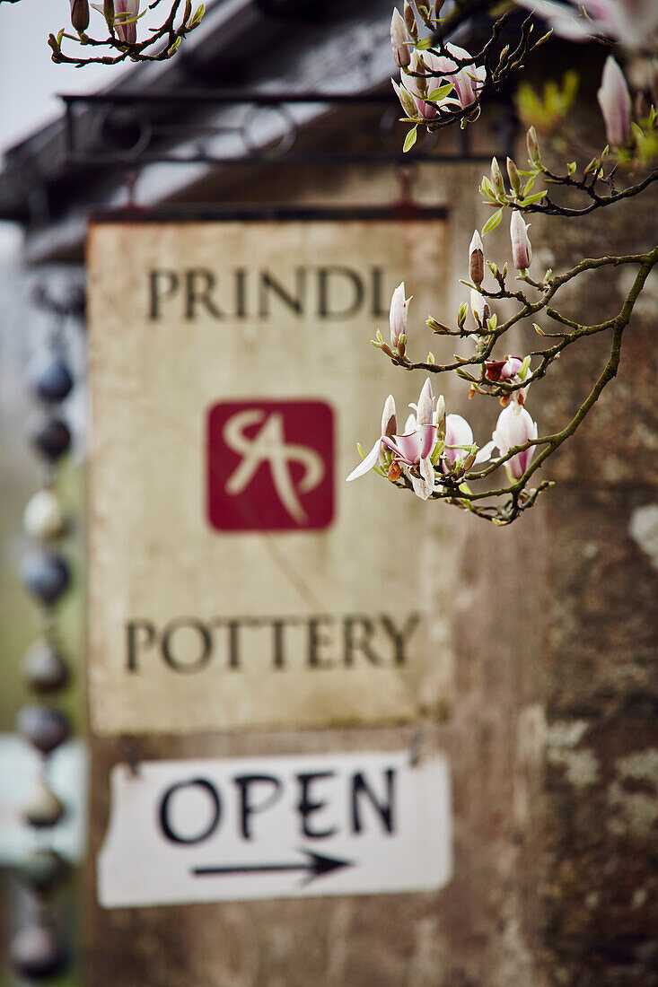 Magnolienblüte und Ladenschild für die Prindl Pottery in Cornwall, UK