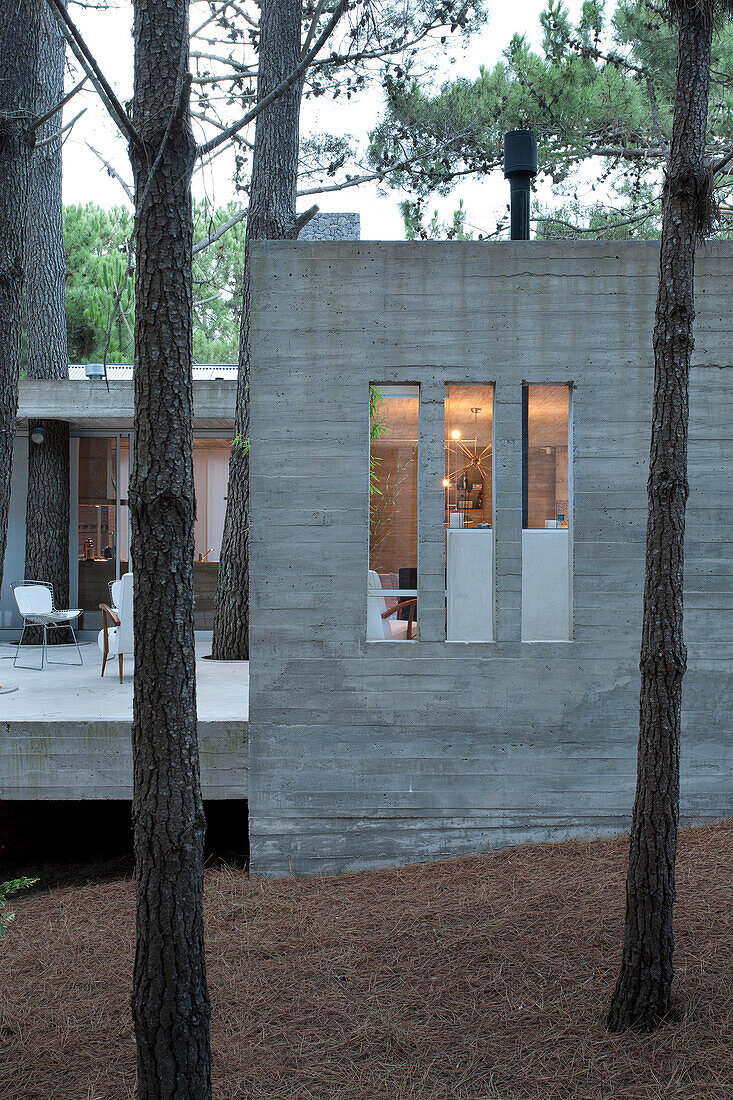 Modernes Betonhaus in einem Waldgebiet in Argentinien