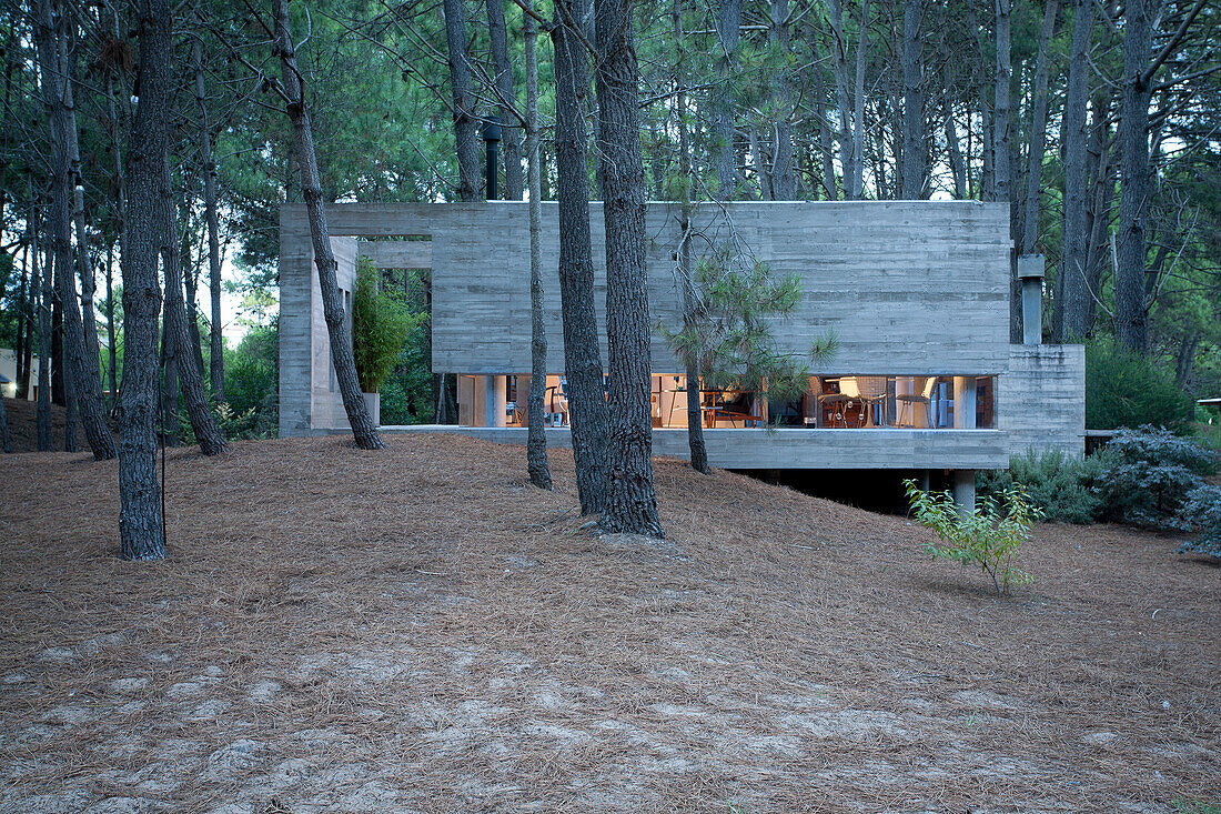 Modernes Betonhaus in einem Waldgebiet in Argentinien