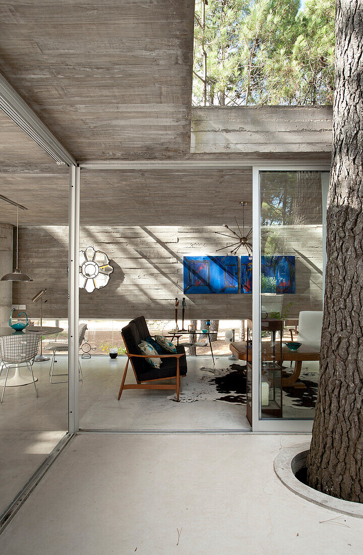Modern concrete home in woodland, Argentina