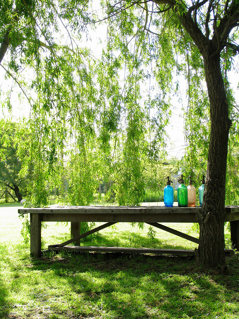 Bunte Soda-Siphons auf einem Gartentisch aus Holz in einem Garten mit leuchtend grünen Blättern