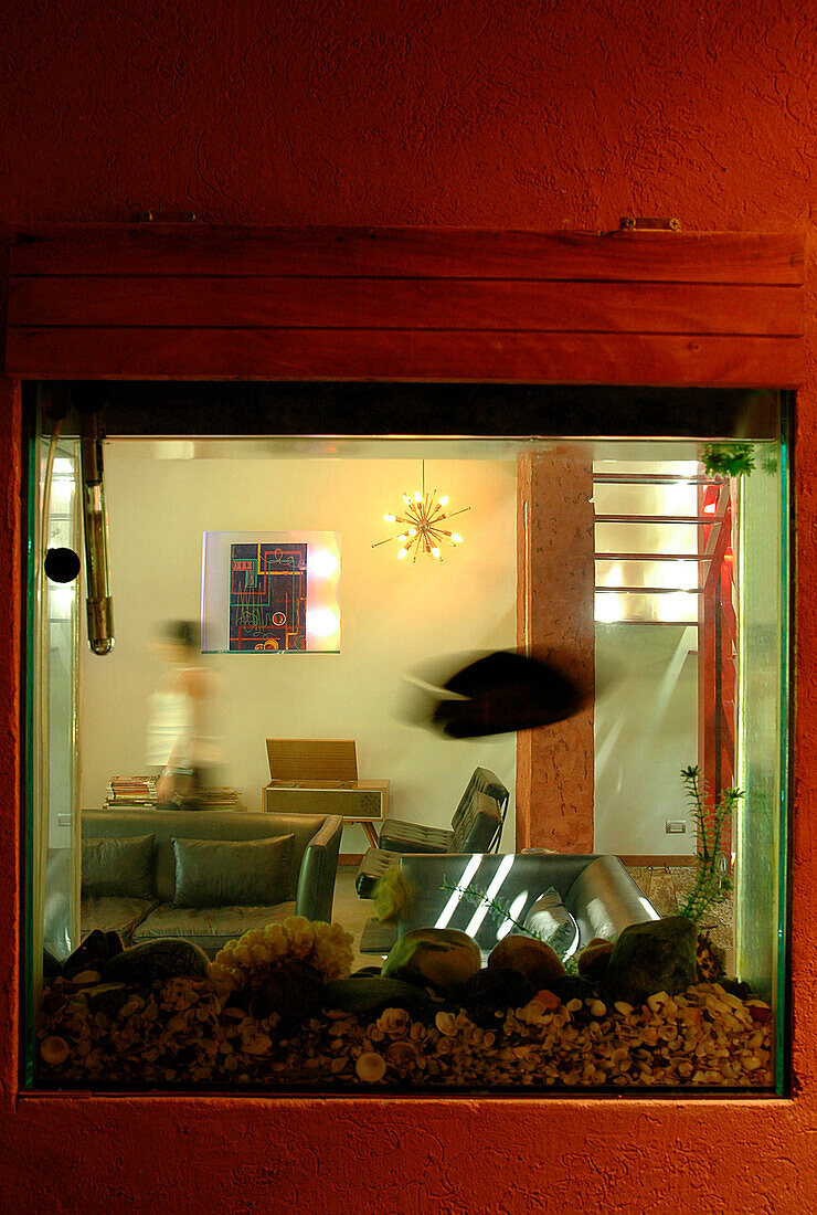 Von der Toilette aus ermöglicht ein Teil des Fischtanks einen Blick auf das Wohnzimmer: ein weiteres Detail, das die verschiedenen Räume des Hauses miteinander verbindet