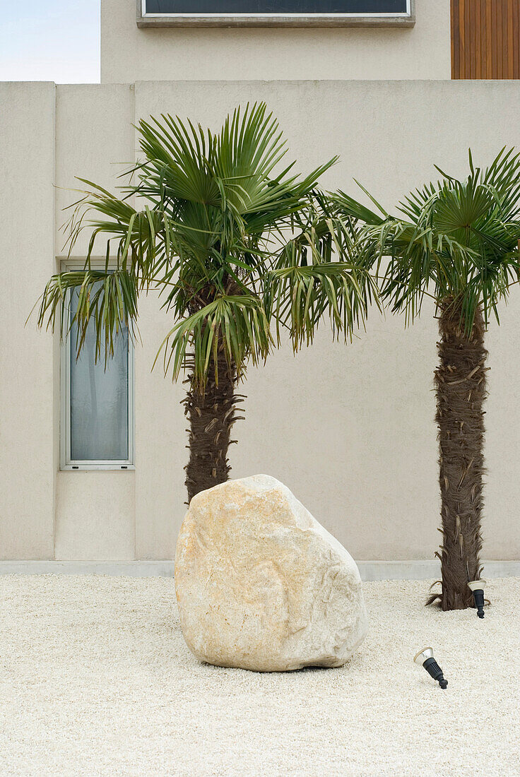Palm trees and boulder with modern building exterior