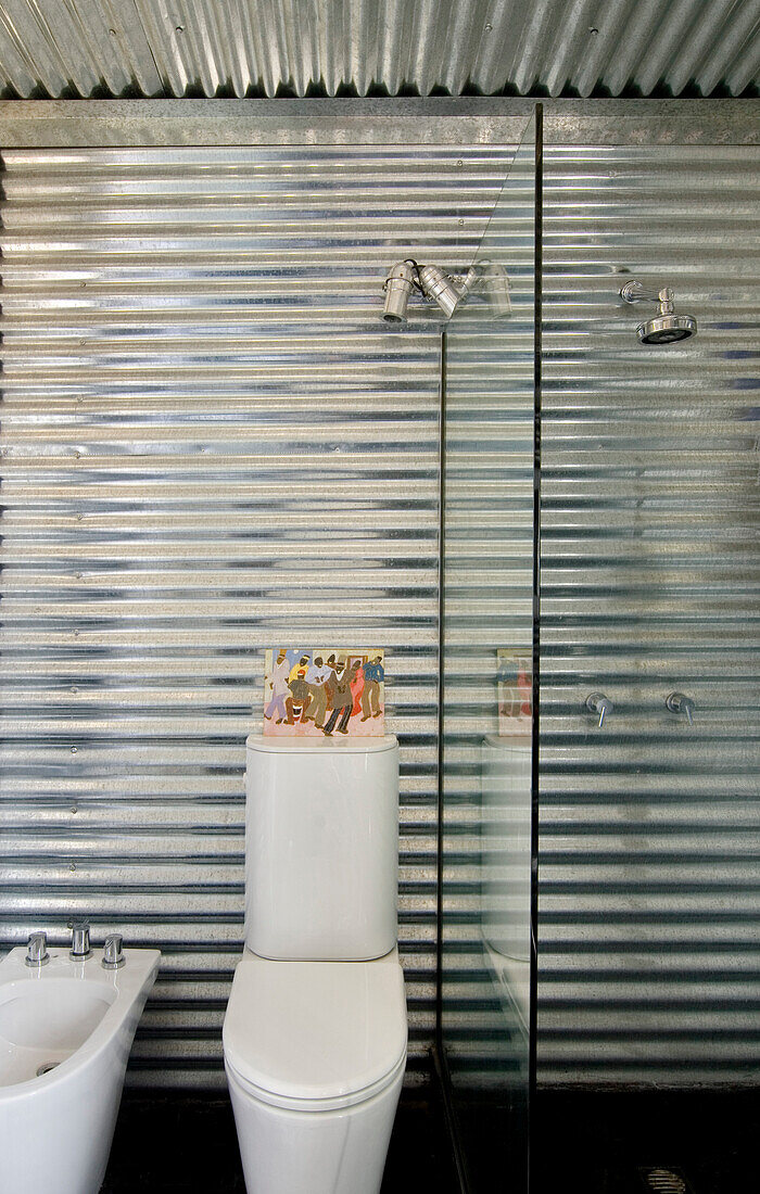 Galvanized metal bathroom and glass shower screen