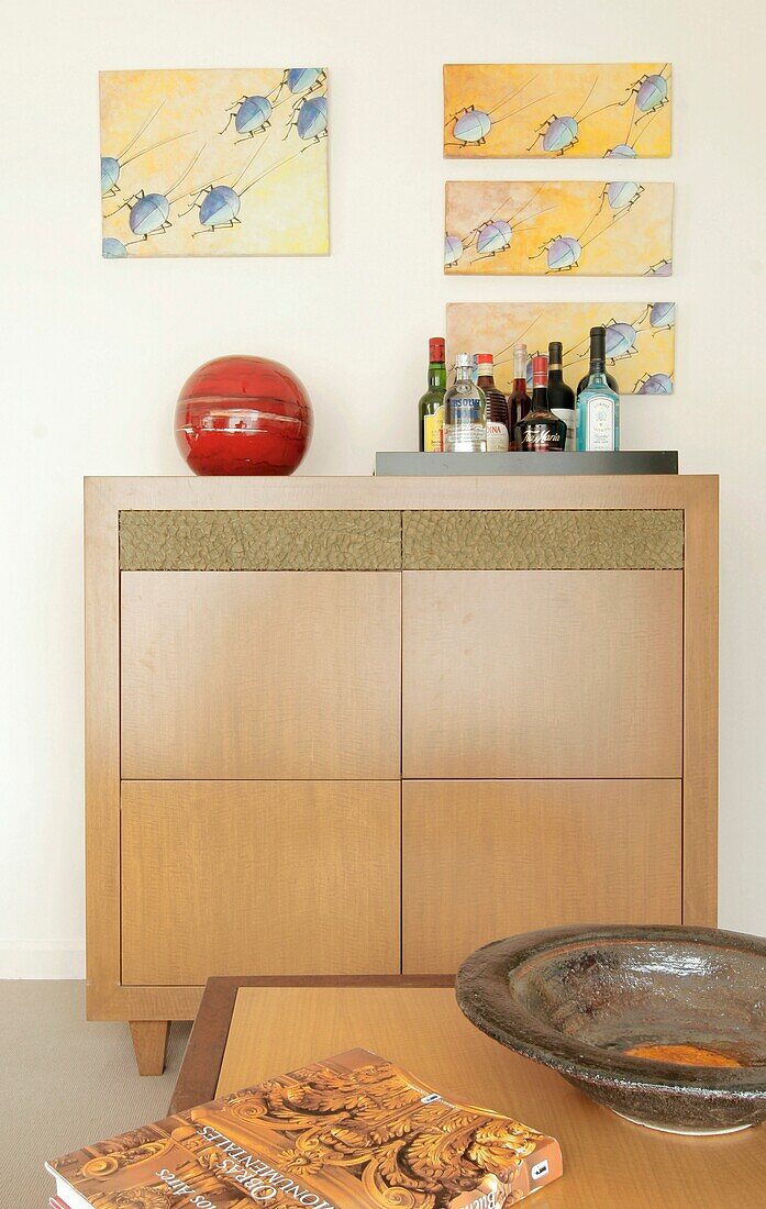Cabinet and coffee table in modern living room, Palermo, Buenos Aires, Argentina