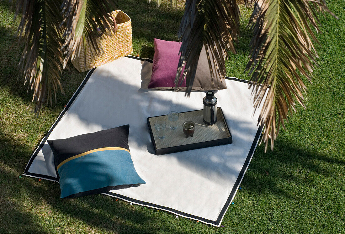 Bodenkissen und Tablett auf Picknickdecke unter schattiger Palme