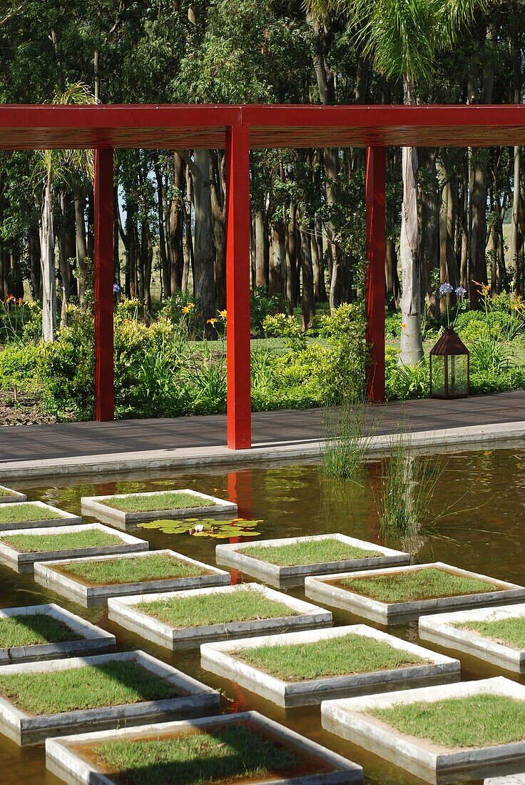 Uruguay, Grasflecken auf Teich im Garten