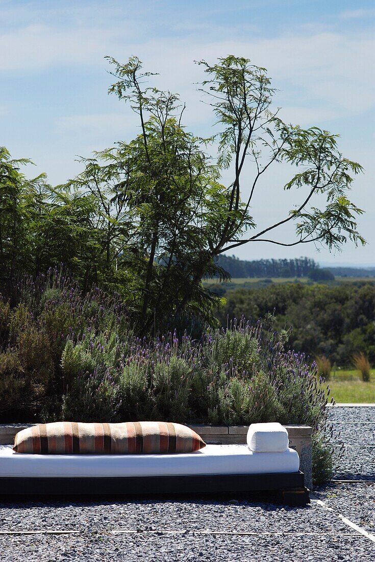 Outdoor-Sessel im Hinterhof eines modernen Luxus-Bauernhauses in Uruguay