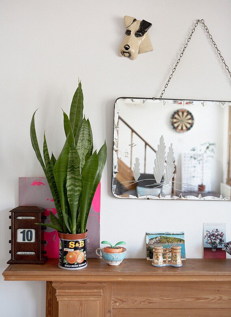 Houseplant and ornaments on wooden mantlepiece under embossed mirror